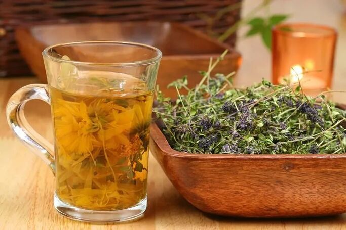 Thyme infusion, the use of which helps to grow the penis